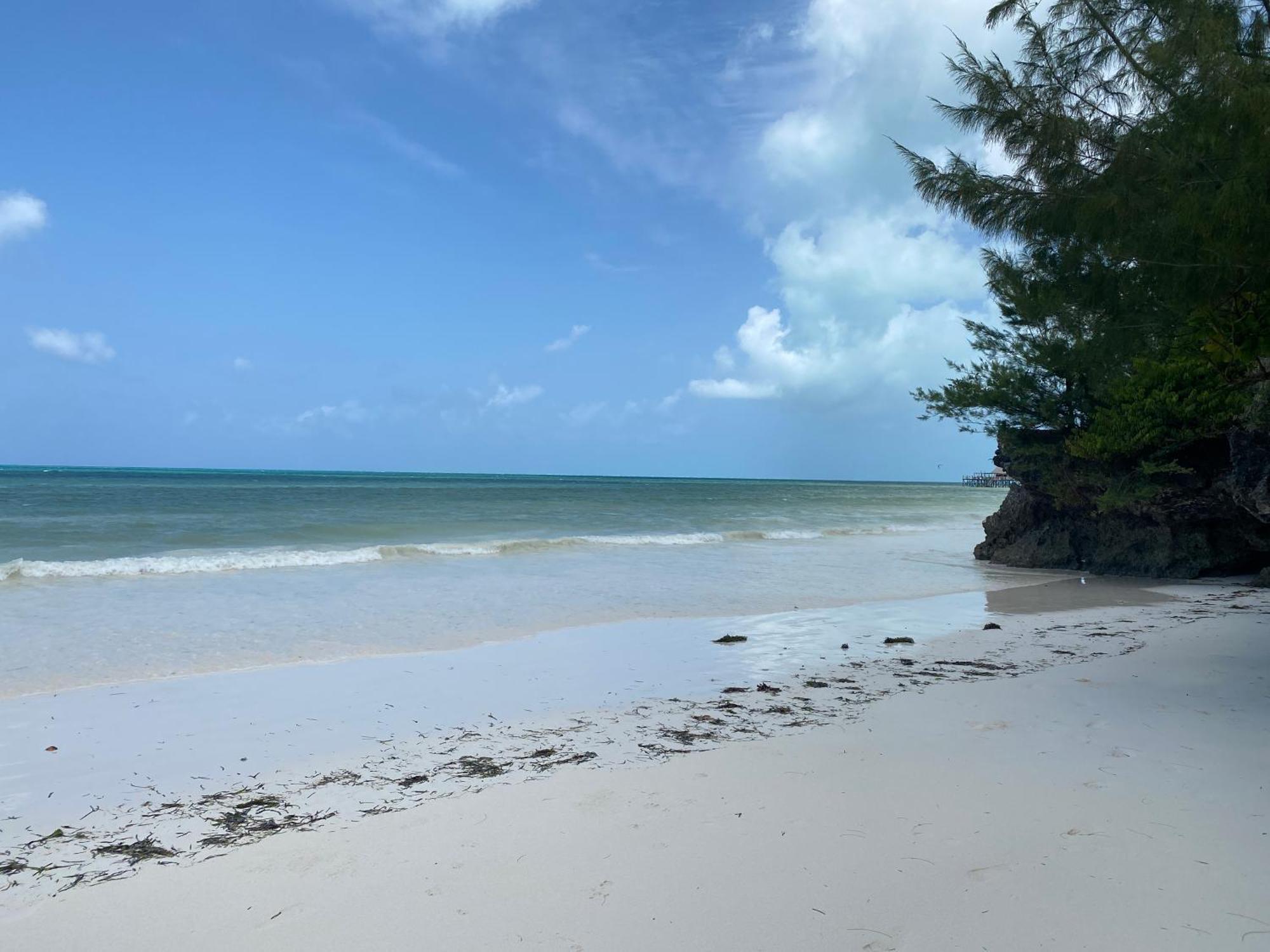 Mbuyuni Beach Village Jambiani  Ngoại thất bức ảnh