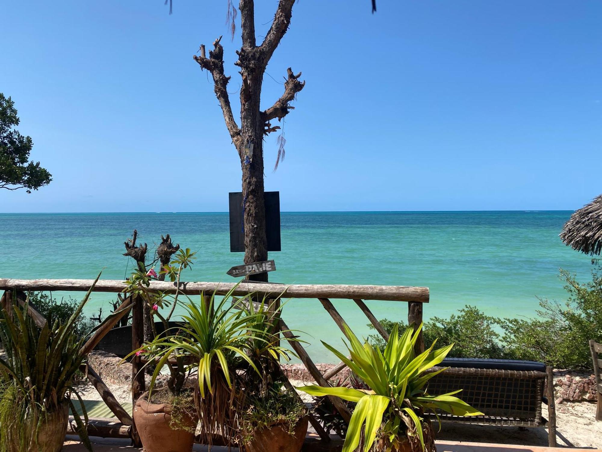 Mbuyuni Beach Village Jambiani  Ngoại thất bức ảnh