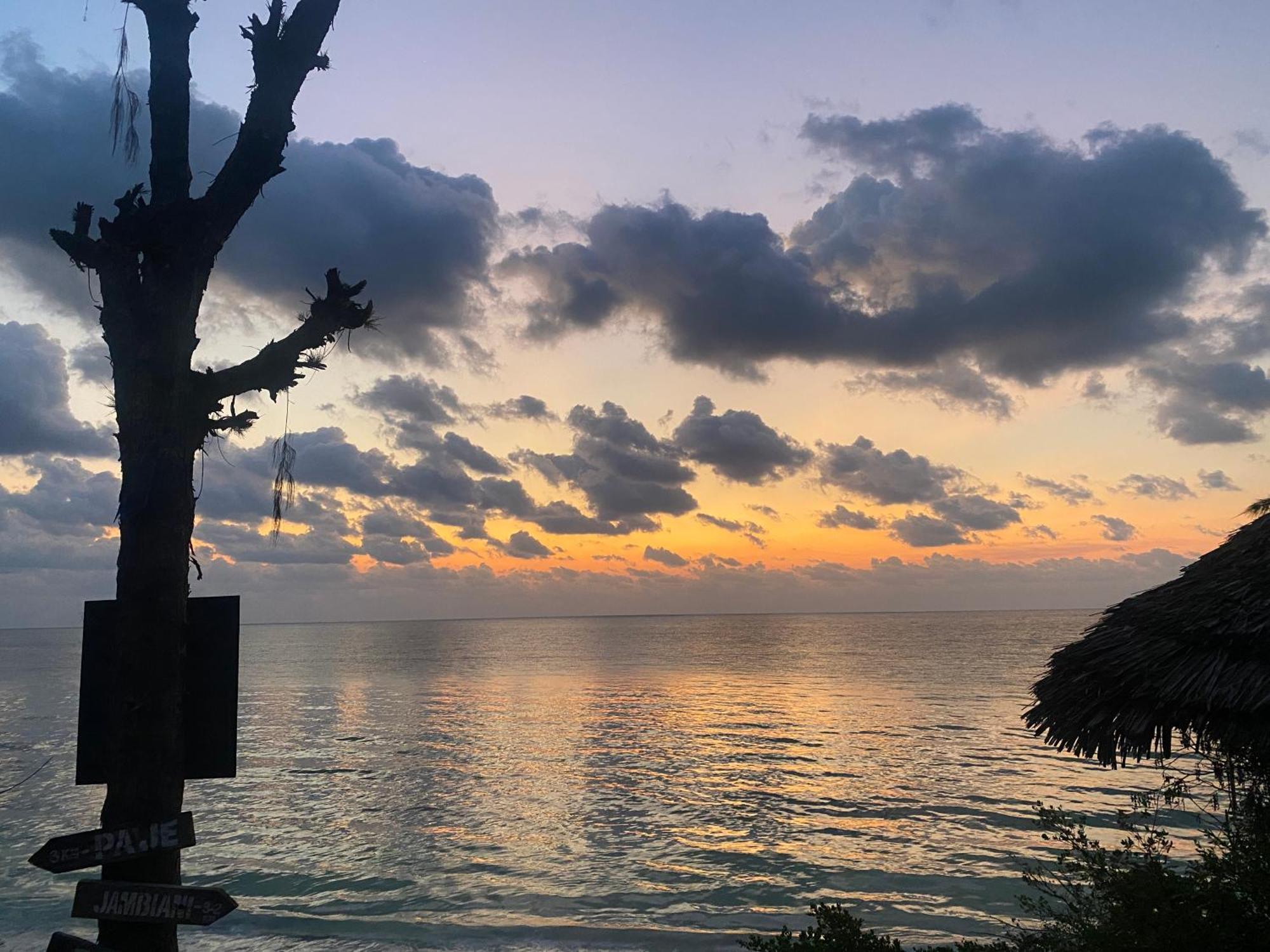 Mbuyuni Beach Village Jambiani  Ngoại thất bức ảnh